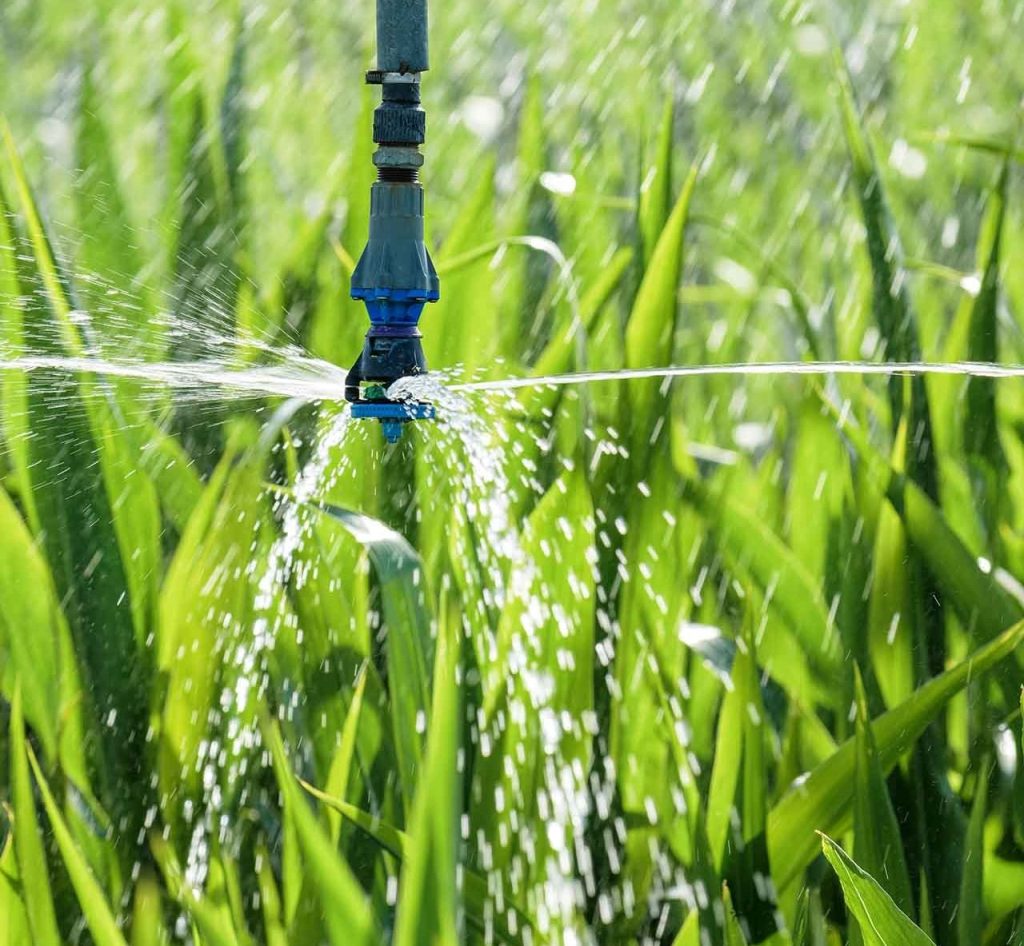 Irrigation