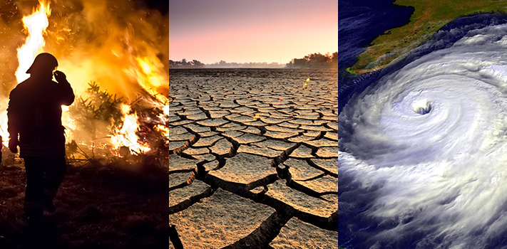 global warming