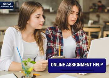 Assignment Help