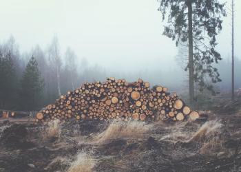 Contamination in Colorado