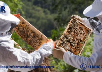 Latin America Apiculture Market