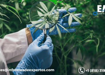 Latin America Medicinal Cannabis Market