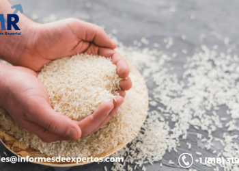 Latin America Rice Market