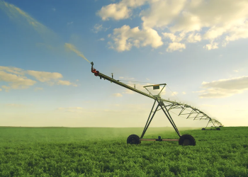 Sustainable Construction