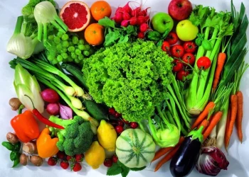The significance of a fair eating routine for good wellbeing