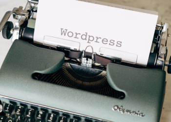 WordPress SEO Plugins