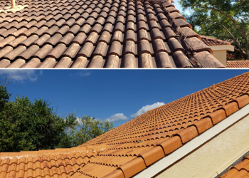 roof cleaning